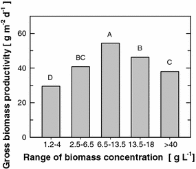 Gross (daylight) productivity of Chlorella cultures at various biomass concentration (1.2–4, 2.5–6.5, 6.5–13.5, 13.5–18 and >40 g L−1) in outdoor thin-layer cascade units. Bars denoted by different letters differ significantly at P ≤ 0.01 on one-way ANOVA