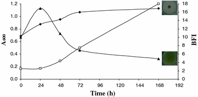 Growth (square) of Arthrospira platensis incubated in Zarrouk medium during 168 h at 22°C and biofilm formation (filled triangle), (filled diamond) Control (Zarrouk medium non-inoculated)