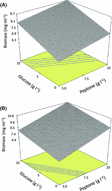 Response surface representing maximal biomass concentration versus glucose and peptone concentration. Media composition (g l−1): a tryptone 5, yeast extract 10, glycerol 0, xylose 10; b tryptone 5, yeast extract 10, glycerol 0, xylose 0