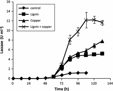 Laccase production during the cultures of P. ostreatus CP-50 where copper and/or lignin were added as inducers at the middle of the growth phase (60 h)