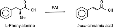 PAL-catalyzed conversion of l-phenylalanine to trans-cinnamic acid