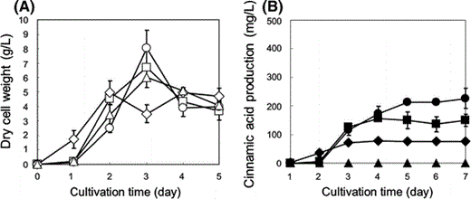 a Time-courses of dry cell weight using glucose as sole carbon source: S. lividans/pUC702 in TSB medium with 15 g/L glucose and 15 g/L tryptone (open triangles); S. lividans/p-encP in TSB medium with 15 g/L glucose, and 15 g/L tryptone (diamonds), 30 g/L tryptone (open squares), and 50 g/L tryptone (open circles). b Time-courses of produced cinnamic acid in culture: S. lividans/pUC702 in TSB medium with 15 g/L glucose and tryptone (closed triangles); S. lividans/p-encP in TSB medium with 15 g/L glucose, and 15 g/L tryptone (closed diamonds), 30 g/L tryptone (closed squares), and 50 g/L tryptone (closed circles). Each data point shows the average of three independent experiments, and error bars represent standard deviation