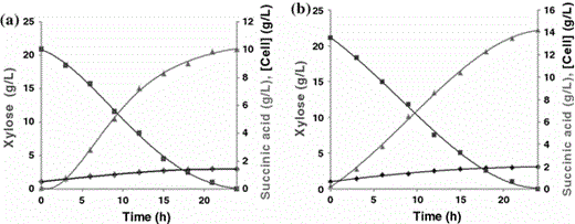 Concentration of cells (filled diamond), xylose (filled square) and succinic acid (filled triangle) during the fermentation process carried out under controlled conditions (37°C, pH 7.0, 150 rpm) using synthetic medium with 22.0 g/l of xylose. Medium with low (a) and high (b) CO2 supply