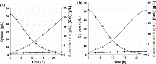 Concentration of cells (filled diamond), xylose (filled square) and succinic acid (filled triangle) during the fermentation of sugarcane bagasse hemicellulose hydrolysate containing 52.0 g l−1 xylose, carried out under controlled conditions (37°C, pH 7.0, 150 rpm). Medium with low (a) and high (b) CO2 supply