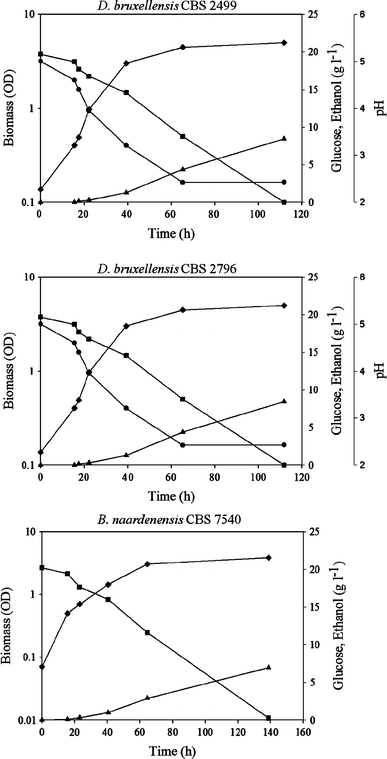 Kinetics of growth, glucose consumption and ethanol production of D. bruxellensis CBS 2499 (a), D. bruxellensis CBS 2796 (b) and B. naardenensis CBS 7540 (c) during batch fermentation under oxygen-limited conditions. Filled diamonds biomass, filled squares glucose, filled triangles ethanol, filled circles pH. Representative experiments are shown