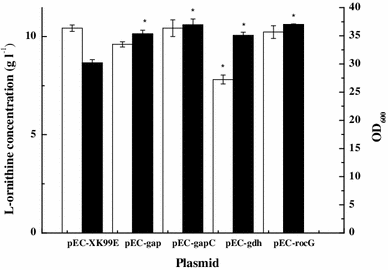 Effect of the overexpression of genes encoding enzymes requiring NADPH on l-ornithine production by C. glutamicum ΔAP. OD600 (white bars); l-ornithine concentration (black bars). Cells were cultured in the fermentation medium 25 μg ml−1 Kan and 0.5 mM IPTG at 30 °C for 72 h. Data are mean ± SD for three replicates. *Significant different at P < 0.01 compared with corresponding controls