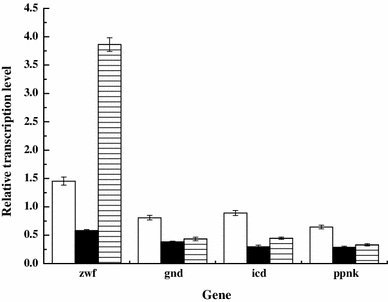Levels of transcription of genes involved in NADPH biosynthesis in C. glutamicum ΔAPER::gapC, ΔAPRE::rocG, and ΔAPE::rocG-R::gapC compared with those in the parental strain, C. glutamicum ΔAPER. ΔAPER::gapC (white bars), ΔAPRE::rocG (black bars), and ΔAPE::rocG-R::gapC (hatched bars)