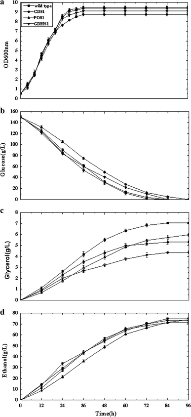 Comparison of recombinant strain S. cerevisiae GDS1, S. cerevisiae POS1, S. cerevisiae GDMS1, and wild type: a OD600, optical density at 600 nm, b glycerol, c glucose, and d ethanol concentrations versus time