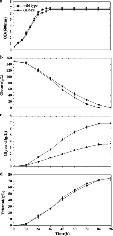 Comparison of recombinant strain S. cerevisiae GDMS1 and wild type when acetic acid was added prior to inoculation: a OD600, optical density at 600 nm, b glycerol, c glucose, and d ethanol concentrations versus time