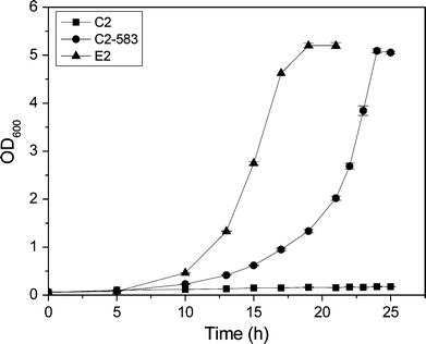 The growth curves of strain C2, C2-583, and E2 in glycerol minimal medium in 500-ml flasks at 37 °C and 220 rpm