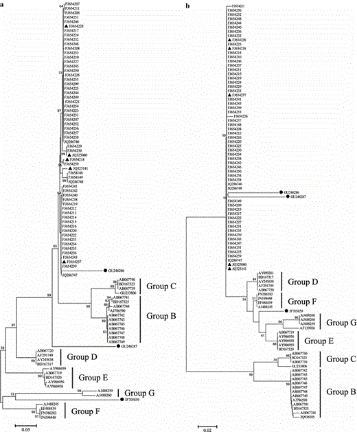 Phylogeny derived from the ITS1-5.8S-ITS2 data set (a) and the 5.8S data set (b) based on erroneously annotated sequences in the INSD and correct sequences from our research group. A total of 39 ITS entries were identified as wrongly accessioned entries, whereas only 33 or 37 were used to perform phylogenetic analyses due to incomplete sequence for some ITS entries. The three entries marked with black balls were erroneously accessioned but did not form a clade with other entries. The remaining entries were correct sequences of O. sinensis from our research group, and the five “reference sequences” used in this study were marked with black triangles
