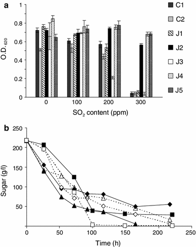a Ability to grow (O.D. 620) of C1, C2 reference strains and J1, J2, J3, J4, and J5 isolated strains in must in the presence of increasing amounts (0, 100, 200, 300 ppm) of SO2. Assays carried out at 27 °C in 96-well microplates. Results are average, and standard deviations of two experiments in duplicate. b Ability to ferment (sugar consumption) must containing 300 ppm of SO2 at 25 °C (empty symbol) or at 34 °C (filled symbol) of reference strain C2 (squares), J4 strain (diamonds) and J5 strain (triangles). Results are average of two measurements