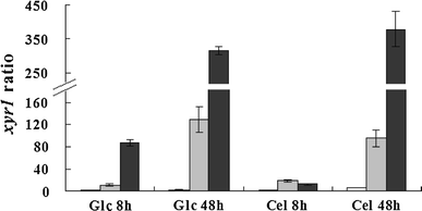Expression ratio of xyr1 to steady-state sar1 reference gene in strains RUT C30 (open bars), PX41 (shaded bars), and PXAi20 (filled bars) pre-grown with glycerol as a carbon source and then transferred into glucose (Glc) or cellulose (Cel) medium for 8 or 48 h. RUT C30: parental strain; PX41: recombinant strain constitutively expressing xyr1 under the control of the pdc (encoding pyruvate decarboxylase) promoter; PXAi20: recombinant strain with both xyr1 over-expression and ace1 downregulation. Error bars indicate standard deviations