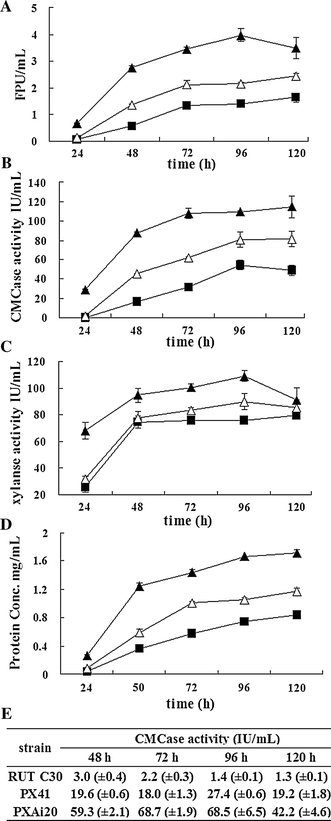Enzyme activities and extracellular protein production at different times in strains RUT C30 (filled square), PX41 (open triangle), and PXAi20 (filled triangle) pre-grown with glycerol as a carbon source and then transferred to cellulose (a–d) or glucose (e). Filter paper (FPA), CMCase, and xylanase activities were measured using filter paper, sodium carboxymethyl cellulose (CMC-Na), and birch xylan as substrates, respectively. a FPA; b CMCase activity; c xylanase activity; d extracellular protein production; e CMCase activity in glucose-based cultivation. Averages from three parallel cultivations of each strain are shown with standard deviations