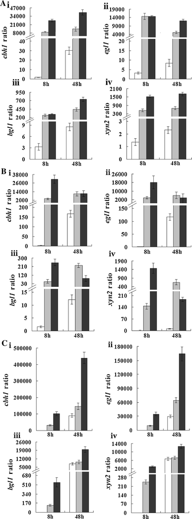 Expression ratio of (i) cbh1, (ii) egl1, (iii) bgl1, and (iv) xyn2 to the steady-state sar1 reference gene in strains RUT C30 (open bars), PX41 (shaded bars), and PXAi20 (filled bars) pre-grown with glycerol as a carbon source and then transferred to a glycerol, b glucose, or c cellulose for 8 or 48 h. RUT C30: parental strain; PX41: recombinant strain constitutively expressing xyr1 under the control of the pdc promoter; PXAi20: recombinant strain with both xyr1 over-expression and ace1 downregulation. Error bars indicate standard deviations