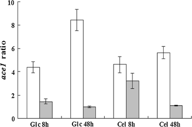 Expression ratio of ace1 to steady-state sar1 reference gene in strains RUT C30 (open bars) and PXAi20 (filled bars) pre-grown with glycerol as a carbon source and then transferred to glucose (Glc) or cellulose (Cel) for 8 or 48 h. RUT C30: parental strain; PXAi20: recombinant strain with both xyr1 over-expression and ace1 downregulation. Error bars indicate standard deviations