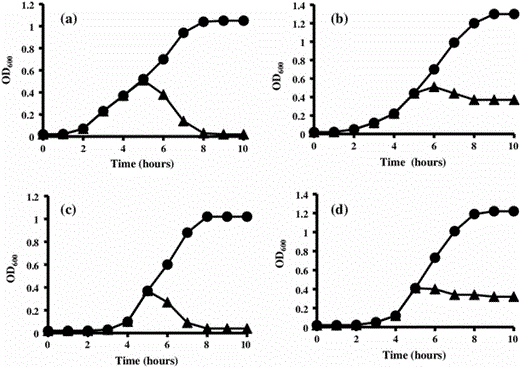 Effects of 80 AU ml−1 of purified antimicrobial peptide AN5-1 produced by P. alvei AN5 on early exponential growth phase against target strains: a E. coli ATCC 29522, b S. marcescens, c S. aureus and d B. cereus ATCC 14579, in the absence (filled circle) and presence (filled triangle) of antimicrobial peptide AN5-1. The bacterial growth was measured by means of optical density at 600 nm (OD600)
