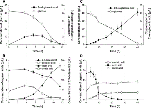 Batch culture of K. pneumoniae CGMCC 1.6366 and K. pneumoniae ΔbudA in flasks a Glucose consumption and 2-ketogluconic acid formation by K. pneumoniae CGMCC 1.6366; b organic acid and 2,3-butanediol formation by K. pneumoniae CGMCC 1.6366; c Glucose consumption and 2-ketogluconic acid formation by K. pneumoniae ΔbudA; d organic acid formation by K. pneumoniae ΔbudA