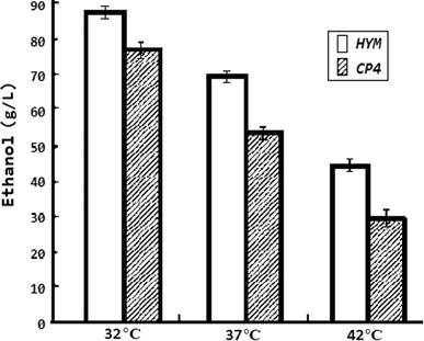 Comparisons of ethanol production between CP4 and HYM at different temperature. Strains were grown in RM medium (10 g/l yeast extract, 1 g KH2PO4, 1 g/l carbamide, 0.5 g/l MgSO4·6H2O) with 23 % glucose as the carbon source under anaerobic conditions. All strains were tested by three parallel experiments. When the temperature reached 42 °C from 32 °C, after 60-h fermentation, the average ethanol concentrations of CP4 and HYM were reduced dramatically. When the temperature was 42 °C, the ethanol yield of HYM based on consumed glucose was 0.19 g/g (ethanol/glucose), significantly different from CP4 (ethanol yield based on consumed glucose was 0.12 g/g). It is apparent that HYM was much less sensitive to high temperatures than CP4