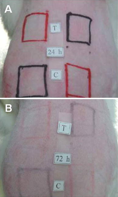 Photographs of New Zealand white rabbits used for the cytotoxicity tests: a 24 h and b 72 h after incubation with 0.2 mol % Cu ions. Red square indicates abraded skin, black square showed intact skin with test (T) and control (C) sites