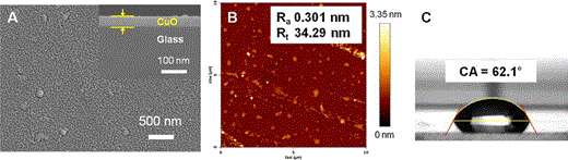 Characteristics of the 0.4 mol % CuO thin film after an elution test at 100 °C for 24 h: a surface morphology (inset shows the thickness of the CuO film), b atomic force microscopy image, c water contact angle