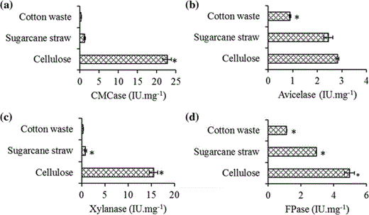 CMCase (a), avicelase (b), FPAse (c), and xylanase (d) activities of RSBP. C. thermocellum was grown for 48 h at 60 °C in reducing liquid media containing, cotton waste sugarcane straw and crystalline cellulose as carbon source. RSBP samples were obtained from the residual substrates. Narrow horizontal bars represent standard deviation from technical replicates (n = 3) *p < 0.5