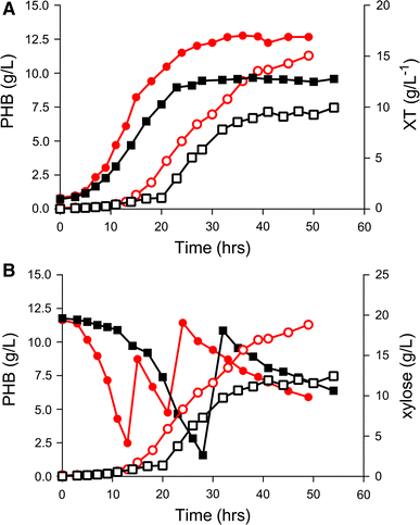 Fed-batch experiments in bioreactor in mineral medium, comparing B.sacchari LFM1403 (filled square and empty square) and recombinant LFM1402 harboring xylAB genes (filled circle and empty circle) using xylose as carbon source. a Comparison of total cell biomass (XT) in LFM1403 (filled square) and LFM1402 (filled circle) and P3HB (g/L) production by LFM1403 (empty square) and recombinant LFM1402 (empty circle); b comparison of P3HB (g/L) production profiles of LFM1403 (empty square) and recombinant LFM1402 (empty circle), plus xylose (g/L) concentration in bioreactor cultivation of control LFM 1403 (filled square) and recombinant LFM1402 (filled circle)