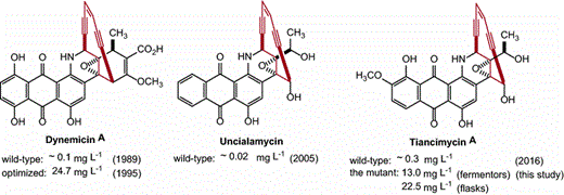 The structures of the anthraquinone enediynes and their production yields, including dynemicin A, uncialamycin and tiancimycin A. The enediyne core was highlighted in red (color figure online)