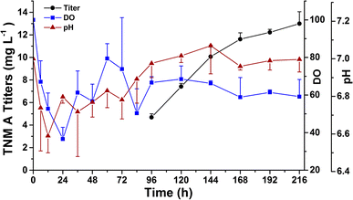 The production of TNM A from Streptomyces sp. CB03234-R-16 in 15 L fermentors. There were at least two independent trials for the data bars. The medium consisted of 30 g L−1 starch soluble, 15 g L−1 pharmamedia, 2 g L−1 CaCO3, 50 mg L−1 CuSO4·5H2O, 20 mg L−1 NaI, and 2 mL L−1 anti-foaming agent, along with 2% (v/w) HP2MGL resins