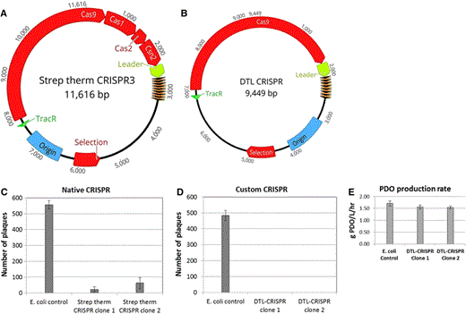 Plasmid schematics of the native Streptococcus thermophilus CRISPR3 plasmid (a) and the customized DTL-CRISPR plasmid (b). The native CRISPR3 still contains genes associated with new spacer acquisition, while the custom plasmid has had them removed, and tailored spacers inserted. Plaque assay data for both the native (c) and the custom (d) CRISPR plasmids. PDO production rates are shown for the clones expressing the DTL-CRISPR plasmid relative to the E. coli control (e)