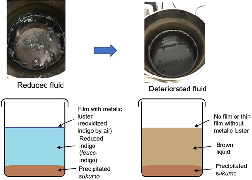 Change in appearance of indigo fermentation fluids from the reducing state to deterioration. Reducing fluid (soluble indigo) is characterized by the formation of a film with a metallic luster that is the result of indigo reoxidized upon exposure to air at the surface of the fluid (a). Deteriorated fluid is brown and lacks the film or has a thin film with no metallic luster (b)
