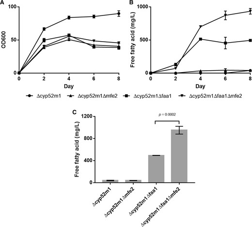 Shake flask cultivation of different S. bombicola Δcyp52m1 strains. a Growth, b Time course of the production of extracellular free fatty acids in Lang medium, c Total extracellular free fatty acid concentration after 8 days of cultivation. Results presented are mean values ± SD, n = 3. P < 0.05
