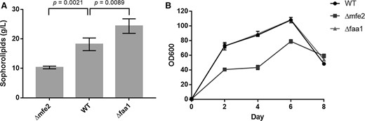 Sophorolipid production (a) and growth (b) of S. bombicola strains during shake flask growth experiment in Lang medium. Results presented are mean values ± SD, n = 3. P < 0.05