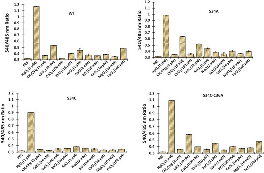 Comparison of the metal specificity of wild-type MerFS and the three affinity mutants. The ratio change was tested in the presence of various metal ions such as Hg2+, MeHg+, Cd2+, Cu2+, Zn2+, As3+, Na+, K+, Ca2+, Mg2+ and Fe2+. Data are means of three independent replicates (n = 3). Vertical bars indicate standard error