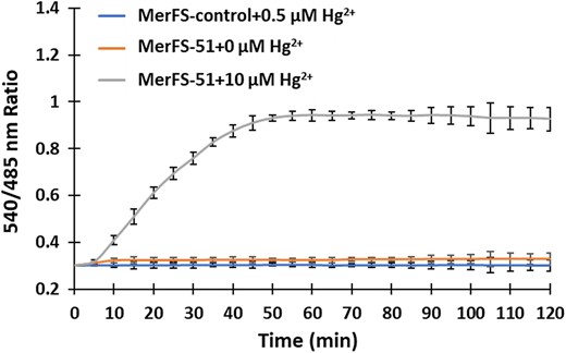 Monitoring of mercury uptake in bacterial cells. The time-dependent response curve was obtained by measuring the FRET ratio after the incubation of bacterial cell suspension containing MerFS-51 with 0.5 µM mercury. 0.5 µM Hg2+ was also added to MerFS-control and the ratiometric change was obtained for the defined period. Data are means of three independent replicates (n = 3). Vertical bars indicate standard error
