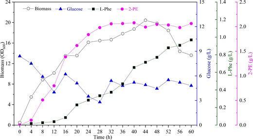 Fed-batch fermentation of recombinant E. coli PE12 in a 5-L bioreactor. OD600 (black circle), glucose concentration (blue triangle), L-Phe titer (black square), and 2-PE titer (magenta circle), respectively.