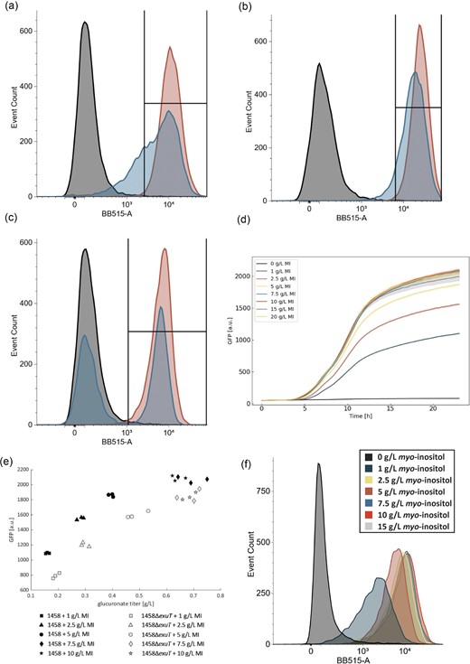 Impact of exuT presence and absence on the single-cell GFP distribution in response to glucuronate production. (a–b) Histograms of GFP for strain 1458 following 8 hr (a) or 12 hr (b) of growth and glucuronate production. The black histogram is the GFP from a negative control where MIOX is catalytically inactive, the red is the GFP distribution from the WT where MIOX is fully active, and the blue histogram is the GFP distribution for a culture that is 50% inactive and 50% active. (c) GFP histogram for strain 1458ΔexuT. The color scheme matches (a–b). The box inset into (a–c) indicates the relative percentage of catalytically inactive MIOX (black) and the mixed active/inactive culture (blue) that overlap with 99% of the active MIOX culture (red). (d) Time course GFP data over 24 hr for strain 1458ΔexuT containing production plasmid pHH-MmMIOX and biosensor plasmid P1OO. The corresponding dose–response curve is shown in Fig. 2e. Error is indicated by the shaded region around the line plots as represented by SD, n = 3. (e) GFP signal at 24 hr as a function of glucuronate titer for biosensor P1OO in strains 1458 (black-filled markers) and 1458ΔexuT (gray-filled markers). (f) Single-cell GFP distribution for strain 1458ΔexuT following 18 hr BioLector cultivation at a truncated range of myo-inositol levels. The colors of the histogram match those shown in the legend in (d). The corresponding time course data for this experiment is found in the supplementary information (Fig. S7).
