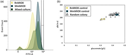 Cell sorting to separate myo-inositol oxygenase from Mus musculus (MmMIOX) from myo-inositol oxygenase from Rattus norvegicus (RnMIOX) in a 50–50 mixed culture. The GFP distribution from single-cell sorting is shown in (a), where yellow = RnMIOX, blue = MmMIOX, and green = mixed culture. The region encased in black lines on the chart is the sorted region, which overlaps ∼5% of cells in the mixed population and only <0.1% of RnMIOX cells. (b) GFP as a function of glucuronate titer for the post-sorting secondary screen. The unfilled triangles indicate the GFP as a function of glucuronate for 46 randomly selected outgrown sorted cells, while the filled triangles represent the control groups (yellow = RnMIOX and navy blue = MmMIOX).