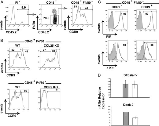 CCR9 expression defines heterogeneity in CD45+F4/80−c-Kit+PIRhi TSP recruited to the embryonic thymus anlage. CD45+ haemopoietic cells from freshly digested E12 WT thymic anlagen were analyzed for expression of F4/80 and CCR9 (A). B shows an analysis of CCR9 expression by CD45+F4/80− progenitors from WT and either Ccl25−/− (upper panels) or Ccr9−/− (lower panels) E12 thymus. C shows expression of PIR (upper panels) and c-Kit (lower panels) in CCR9− and CCR9+ subsets of CD45+F4/80− cells. D shows quantitative PCR analysis of purified CCR9− (gray bars) and CCR9+ (open bars) TSP, isolated from E12 blood, for expression of ST8siaIV and Dock2 mRNA. Expression of the housekeeping gene β-actin was used as a reference.