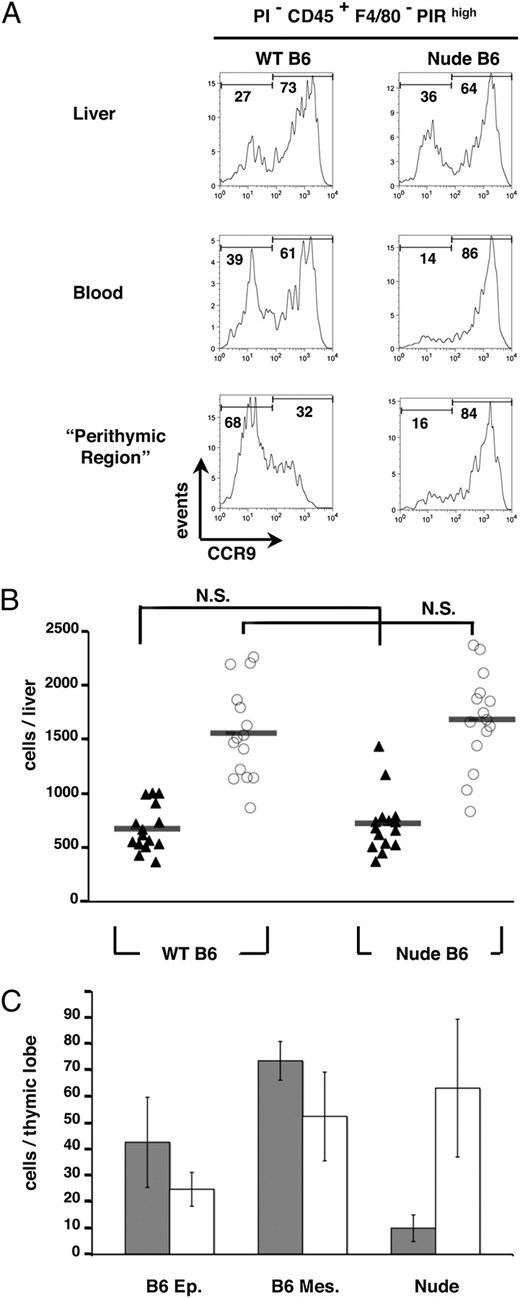 Recruitment of CCR9− TSP requires signals from FoxN1+ thymic epithelial cells. A shows flow cytometric analysis of CCR9 expression by CD45+F4/80−PIRhigh progenitors in fetal liver, blood, and perithymic mesenchyme from WT and nude E12 embryos. B, The number of PIRhiCCR9− (filled triangles) and PIRhiCCR9+ cells (open circles) in fetal liver preparations of WT and nude embryos was calculated, with each shape representing a single embryo. C shows quantitation of PIRhiCCR9− (gray bars) and PIRhiCCR9+ (open bars) progenitors recovered from WT thymic epithelial rudiments, WT perithymic mesenchyme, or nude thymic anlagen. N.S., nonsignificant according to the one tail t test for a degree of freedom = 50 and α = 0.0005.