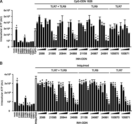 G-modified INH-ODNs are significantly more efficient than unmodified INH-ODNs to inhibit CpG- or imiquimod-induced intracellular ATP levels by B cells from lupus-prone MRL/MP-lpr/lpr mice. In (A) and (B), the intracellular ATP content was evaluated upon stimulation with CpG-ODN 1826 or imiquimod, respectively, as described in Fig. 3A and 3B. Error bars represent SD of three individual cell cultures. The experiment was repeated twice with similar results. #p < 0.05, ANOVA compared with CpG-ODN 1826 or imiquimod. *p < 0.05, ANOVA compared with INH-ODN 2088 for TLR7/9 INH-ODNs and TLR7 INH-ODNs or with INH-ODN 21158 for TLR9 INH-ODNs. §p < 0.05, ANOVA compared with mock in the absence of a TLR stimulus.