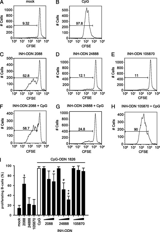 Proliferation of B cells from lupus-prone MRL/MP-lpr/lpr mice is suppressed by G-modified INH-ODNs, but stimulated by unmodified INH-ODN at high doses. B cells from MRL/MP-lpr/lpr mice (3.5 × 106 cells/well) were labeled with CFSE (2 μM) and left either untreated (A) or incubated with CpG-ODN 1826 (1 μM) (B), INH-ODN 2088 (10 μM) (C), INH-ODN 24888 (10 μM) (D), INH-ODN 105870 (10 μM) (E), INH-ODN 2088 (10 μM) plus CpG-ODN 1826 (1 μM) (F), INH-ODN 24888 (10 μM) plus CpG-ODN 1826 (1 μM) (G), or INH-ODN 105870 (10 μM) plus CpG-ODN 1826 (1 μM) (H). Cell cultures were harvested after 3 d and analyzed by FACS. Numbers in each graph designate percentage of proliferating B cells. The experiment was repeated twice with similar results. In (I), tritrated doses (10−1 10°, 101 μM) of INH-ODN 2088, INH-ODN 24888, or INH-ODN 105870 were used to inhibit the proliferation of B cells from MRL/MP-lpr/lpr mice. The experiment was performed, as described above. Data shown are from three individual experiments. #p < 0.05, ANOVA compared with CpG-ODN 1826. *p < 0.05, ANOVA compared with INH-ODN 2088. §p < 0.05, ANOVA compared with mock in the absence of a TLR stimulus.