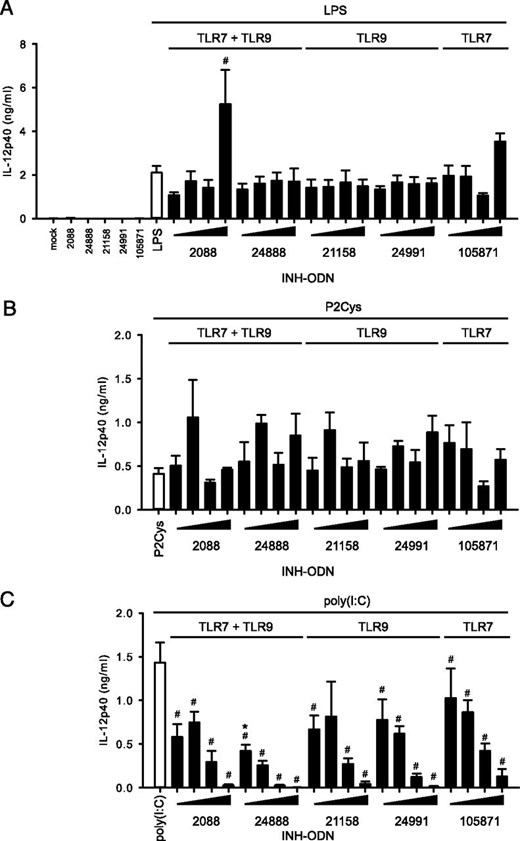 Influence of INH-ODNs on TLR2-, TLR3-, or TLR4-mediated immune responses. BMDMs (2 × 105 cells/well) were pretreated for 15 min with titrated doses (10−3, 10−2, 10−1 10°, 101 μM) of INH-ODN, as indicated. Cells were either stimulated with TLR4 ligand LPS (100 ng/ml) (A), TLR2 ligand P2Cys (100 ng/ml) (B), or TLR3 ligand poly(I:C) (5 μg/ml) (C). IL-12p40 levels were determined in the culture supernatant. Error bars represent SD of three individual cell cultures. The experiment was repeated twice with similar results. #p < 0.05, ANOVA compared with LPS or P2Cys or poly(I:C).