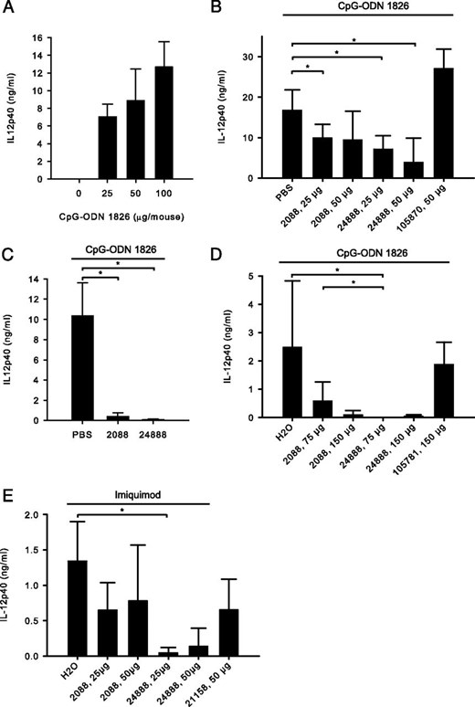 G-modified INH-ODN 24888 is significantly more efficient in vivo. (A) BALB/c mice (n = 5/group) were treated s.c. with titrated doses of CpG-ODN 1826, as indicated. Untreated mice (n = 3) served as negative controls. Three hours later, IL-12p40 levels in the serum were determined. (B) BALB/c mice (n = 4/group) were pretreated s.c. with unmodified INH-ODN 2088 or G-modified INH-ODN 24888, as indicated. Subcutaneous injection with PBS and pretreatment with the TLR7-specific INH-ODN 105870 served as negative controls. One hour later, CpG-ODN 1826 (50 μg/mouse) was s.c. administered, and another 3 h later, the serum level of IL-12p40 was determined. Error bars represent SD of four individual mice. The experiment was repeated once with similar results. (C) The experiment was performed, as described in (A), except that the unmodified INH-ODN 2088 (50 μg/mouse) or the G-modified INH-ODN 24888 (50 μg/mouse) were injected i.p. Error bars represent SD of four individual mice. The experiment was repeated once with similar results. (D) The experiment was performed, as described in (A), except that BALB/c mice (n = 4/group) were anesthetized and INH-ODNs were applied intranasally 2 h before CpG-ODN 1826 administration (25 μg/mouse). Injection of H2O and pretreatment of mice with TLR7-specific INH-ODN 105781 served as negative controls. Please note that, due to anesthesia, IL-12p40 serum levels are generally lower in (D) compared with (B) and (C). Error bars represent SD of four individual mice. The experiment was repeated twice with similar results. (E) BALB/c mice (n = 4/group) were pretreated i.p. with INH-ODNs (50 μg/mouse), as indicated. One hour later, mice were injected s.c. with the TLR7 ligand imiquimod (50 μg/mouse). IL-12p40 serum level was determined 3 h later. Pretreatment with H2O and TLR9-specific INH-ODN 21158 served as negative controls. Error bars represent SD of four individual mice. The experiment was repeated once with similar results. *p < 0.05, ANOVA on Ranks, Student–Newman–Keul post hoc.