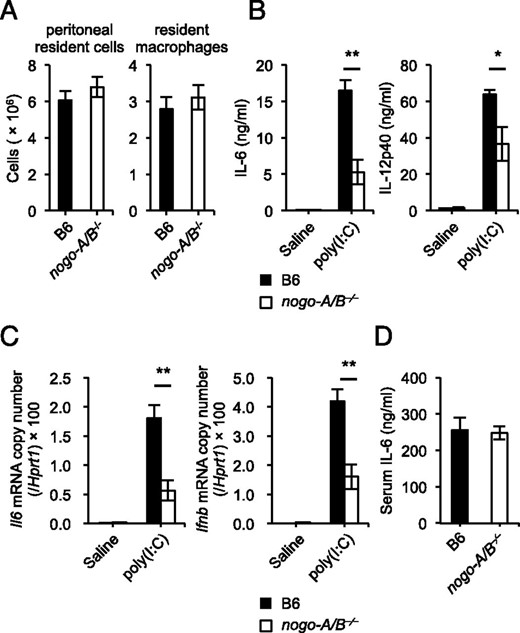 Deficiency of Nogo attenuates cytokine responses triggered by TLR3 stimulation. (A) Numbers of resident cells and F4/80+ macrophages in peritoneal cavities harvested from wild-type and nogo-A/B−⁄− mice (n = 4 mice/group). (B–D) Age- and sex-matched wild-type and nogo-A/B−⁄− mice (n = 5–7 mice/group) were i.p. injected with poly(I:C) (5 mg/kg body weight), LPS (15 mg/kg body weight), or saline, and then sera were taken at 3 h after injection. The serum concentrations of IL-6 (B and D) and IL-12p40 (B) were measured by ELISA. Whole splenocytes were harvested at the same time, and then total RNA was isolated for quantitative real-time PCR to determine the mRNA levels of IL-6 and IFN-β (C). *p < 0.05, **p < 0.01.
