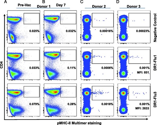 Direct ex vivo PFR-modified pMHC-II multimer staining of CD4+ T cells specific for HA306–318. Flow cytometry plots showing DR1-Flu1 and DR1-Flu3 multimer staining of PBMCs isolated ex vivo from three donors. (A) Donor 1 prevaccination, (B) donor 1 at day 7 postvaccination with the 2011–2012 trivalent influenza vaccine, (C) donor 2 without vaccination, and (D) donor 3 without vaccination. DR1-Gag and/or DR4-CLIP multimers were used as a negative control. Multimer+ gate cut-offs were determined from the relevant fluorescence minus one (FMO) controls (Supplemental Fig. 2). The percentage shown indicates the proportion of CD3+ T cells stained with each tetramer reagent.