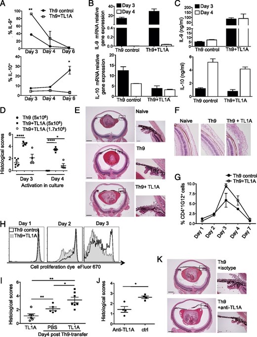 Two Panel Figure Example Correction: The TNF-Family Ligand TL1A and Its Receptor DR3 Promote T ...
