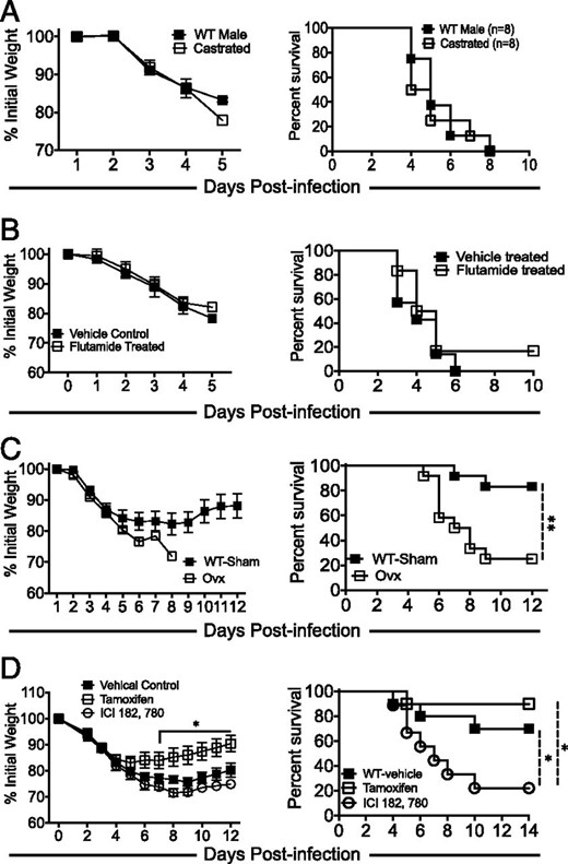 Estrogen receptor signaling protects female mice from lethal MA15 infection. Nine- to ten-month-old male and female and their gonadectomized counterparts were infected with 5000 PFU MA15. Nine-month old gonadectomized (n = 8) or nongonadectomized (n = 8) (A) and control (n = 6) or flutamide-treated (n = 7) (B) male mice were monitored for disease severity. (C) Percentage of initial weight and survival among control (n = 12) or ovariectomized female (n = 12) mice. (D) Female mice treated with vehicle (corn oil; n = 9), tamoxifen (1 mg per mouse; n = 9–10), or ICI 182, 780 (1 mg per mouse; n = 10) in 100 μl of corn oil were infected with 5000 PFU MA15 and monitored for morbidity and mortality. Data are derived from two or three independent experiments with three to five mice per group per experiment. *p < 0.05, **p < 0.01, log-rank test with 95% CI.