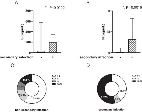 FIGURE 10. Frequency of detectable SARS-CoV-2 S and N proteins were higher in patients with COVID-19 that suffered secondary infections. Plasma levels of S (A) or N (B) SARS-CoV-2 proteins in patients with COVID-19 who suffered a secondary infection or not. Frequency of detectable SARS-CoV-2 S and N proteins in patients with COVID-19 with nonsecondary infections (C) (n = 11) or with secondary infections (D) (n = 15). *p < 0.05, **p < 0.01, Mann–Whitney t test versus patients without secondary infections. nd, not detected.