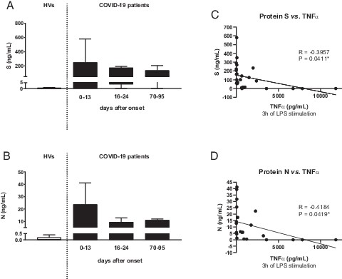 FIGURE 8. SARS-CoV-2 S and N proteins are detected in plasma during early phase of COVID-19 and inversely correlate with TNF-α production after LPS challenge. Plasma levels of SARS-CoV-2 S (A) or N (B) protein in HV (n = 10) and patients with COVID-19 (n = 22) according to the days after symptom onset. (C) Correlation between plasmatic SARS-CoV-2 S (C) or N (D) protein levels and TNF-α production after 3 h of LPS challenge. *p < 0.05, Spearman correlation test. R, Spearman rank correlation coefficient.